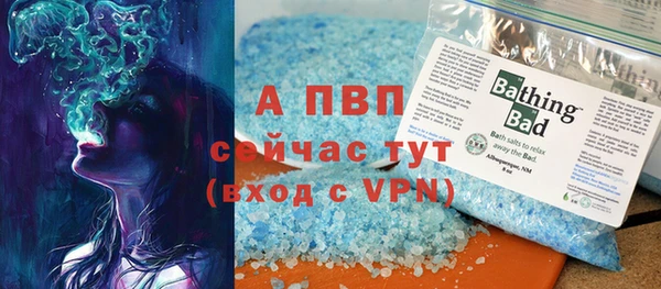 СК Новокубанск